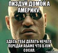 Пиздуй домой а америку. Здесь тебе делать нечего. Передай абаме что б хуй сосал.