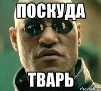 Поскуда Тварь