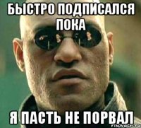 Быстро подписался пока я пасть не порвал