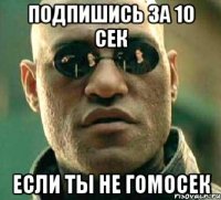 Подпишись за 10 сек если ты не гомосек