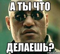 А ты что делаешь?