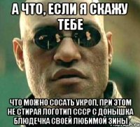 а что, если я скажу тебе что можно сосать укроп, при этом не стирая логотип ссср с донышка блюдечка своей любимой зины