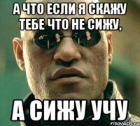 А что если я скажу тебе что не сижу, а сижу учу