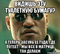 Видишь эту туалетную бумагу? А теперь засунь ее туда, где потеет - мы все в матрице так делаем