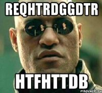 reqhtrdggdtr htfhttdb