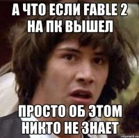 А что если Fable 2 на ПК вышел Просто об этом никто не знает