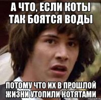 А что, если коты так боятся воды потому что их в прошлой жизни утопили котятами