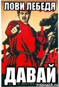 лови лебедя давай
