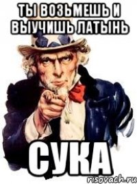 Ты возьмешь и выучишь латынь сука