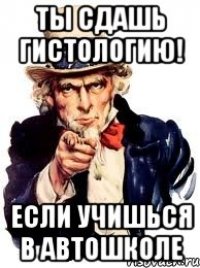 Ты сдашь гистологию! Если учишься в автошколе