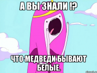 А вы знали !? Что медведи бывают белые.