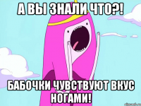 А вы знали что?! Бабочки чувствуют вкус ногами!
