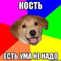 Кость Есть ума не надо