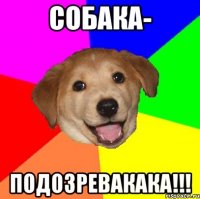 Собака- ПодозреваКАКА!!!