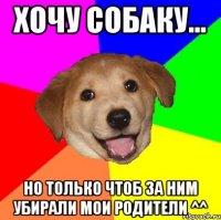 Хочу собаку... Но только чтоб за ним убирали мои родители ^^