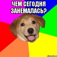 чем сегодня занемалась? 