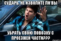 СУДАРЬ, НЕ ИЗВОЛИТЕ ЛИ ВЫ УБРАТЬ СВОЮ ПОВОЗКУ С ПРОЕЗЖЕЙ ЧАСТИ???