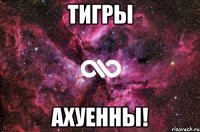 Тигры Ахуенны!