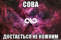 Сова достається не кожним