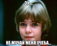 ЭХ.... Не мучай меня учеба...