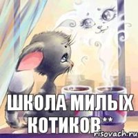 Школа милых Котиков**