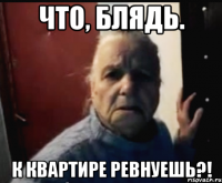 Что, блядь. К квартире ревнуешь?!