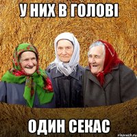 у них в голові один секас