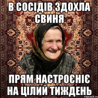 в сосідів здохла свиня прям настроєніє на цілий тиждень