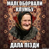 малі оборвали клумбу дала пізди