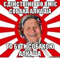 єдінствіне шо вміє собака алкаша то бути собакою алкаша