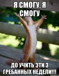 Я смогу, я смогу До учить эти 3 гребанных недели!!!