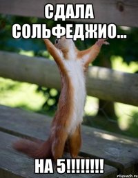 сдала сольфеджио... на 5!!!!!!!!