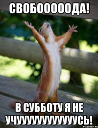 Свобооооода! В субботу я не учуууууууууууусь!