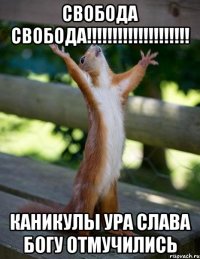 Свобода Свобода!!!!!!!!!!!!!!!!!!!! каникулы ура слава богу отмучились