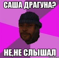 Саша драгуна? Не,не слышал