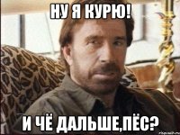 Ну я курю! И чё дальше,Пёс?