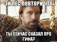 ЭЙ ПЁС ПОВТОРИ ЧТО ТЫ СЕЙЧАС СКАЗАЛ ПРО ГУФА?