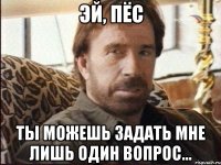 Эй, Пёс Ты можешь задать мне лишь один вопрос...