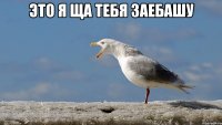 это я ща тебя заебашу 
