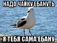надо чайку ебануть я тебя сама ебану