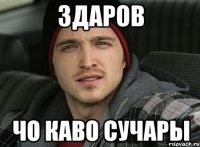 ЗДАРОВ ЧО КАВО СУЧАРЫ