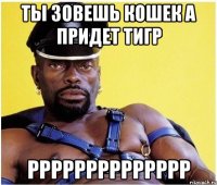 Ты зовешь кошек а придет тигр РРРРРРРРРРРРРр