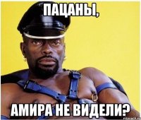 пацаны, амира не видели?