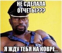 Не сделала отчеты??? Я жду тебя на ковре...