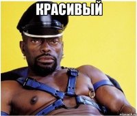 красивый 