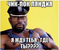 Чик-пок ляндия Я жду тебя...где ты????