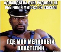 Однажды на Луне родился не обычный мелок,а он сказал Где Мой мелковый властелин