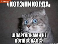 Котэ никогда шпаргалками не пользовался