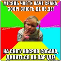 Місяць чавти наче срака, Зоорі сяють де не де! На снігу насрав собака, дивиться як пар іде!