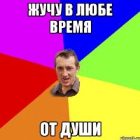 ЖУЧУ В ЛЮБЕ ВРЕМЯ ОТ ДУШИ